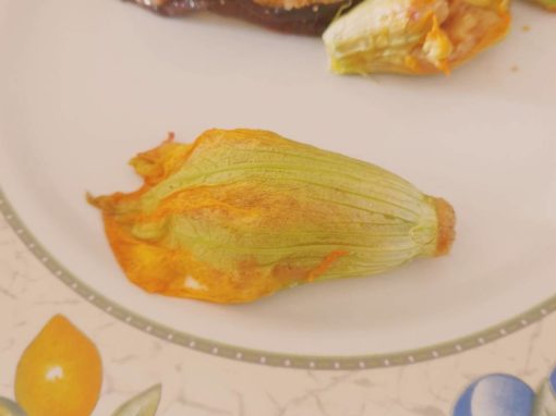 Fiori di zucchina ripieni